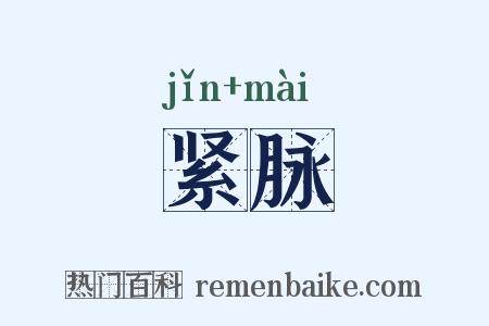 紧脉是什么意思的图片
